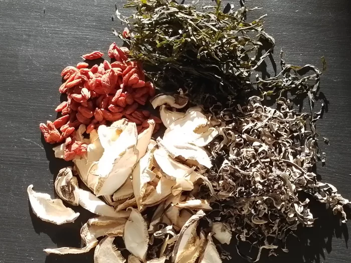 Soupe de Vitalité aux Trois Trésors – Image 2