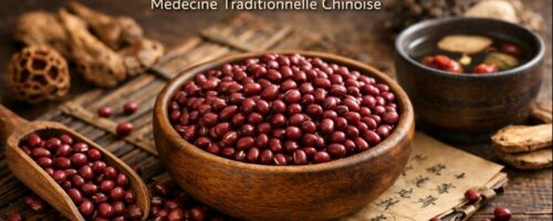 Graine de haricot rouge Hong Dou, aussi appelée azuki, utilisée en Médecine Traditionnelle Chinoise pour le drainage de l’humidité