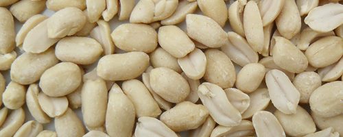 Cacahuète (hua sheng) – 花 生