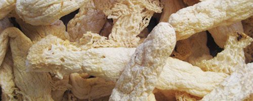 Champignon Dyctiophora (zhu sheng) – 竹 笙