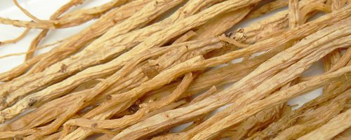 Codonopsis (Dang Shen) – Racine Tonique Qi | MTC