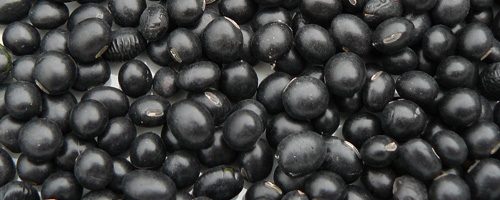 Graines de soja noir (hei dou) – 黑 豆
