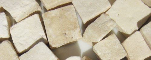 Pachyme -Fu Ling – (Poria Cocos) – Plante majeure pour drainer l’humidité en MTC
