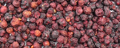 Schisandra (Wu Wei Zi) – Baies addictogènes pour la vitalité et l’énergie