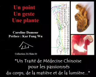 ebook medecine traditionnelle chinoise
