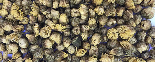 Boutons de chrysanthème (tai ju) – 胎 菊