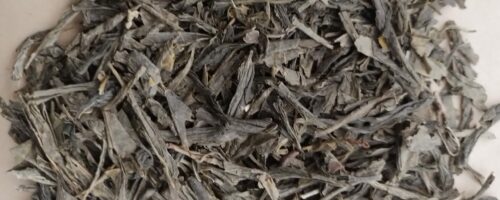 Thé sencha bio-煎茶