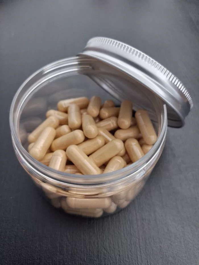 Cordyceps Bio (Dong chong xia cao) – Image 2