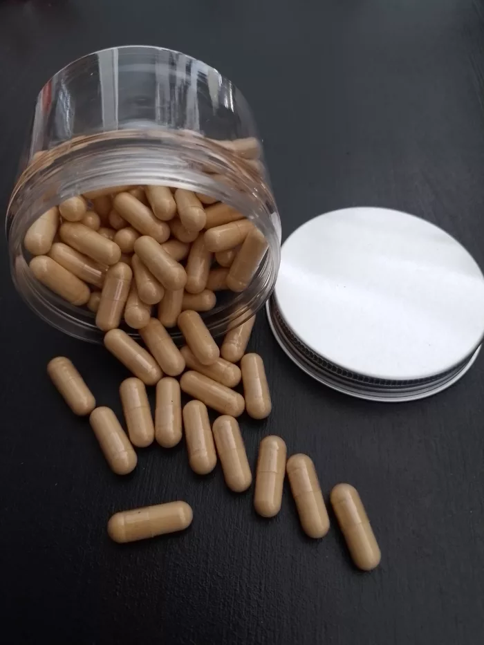 Cordyceps Bio (Dong chong xia cao) – Image 3