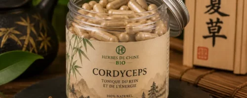 Cordyceps Bio en Gélules – Tonique du Rein et de l’Énergie en Médecine Traditionnelle Chinoise (MTC)