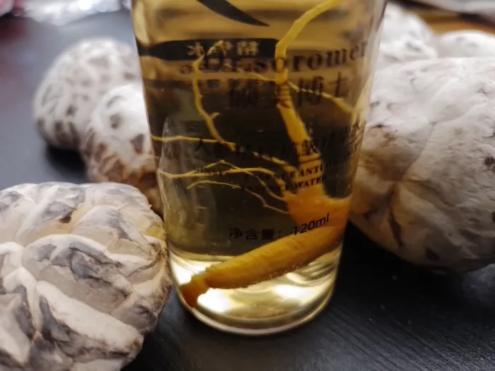 sérum visage doré avec ginseng