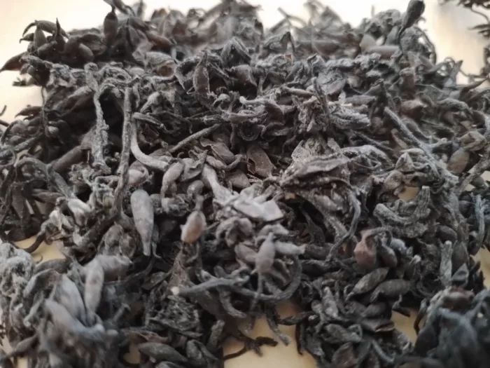 Vigne du tonnerre divin (lei gong teng)- 雷公藤-
