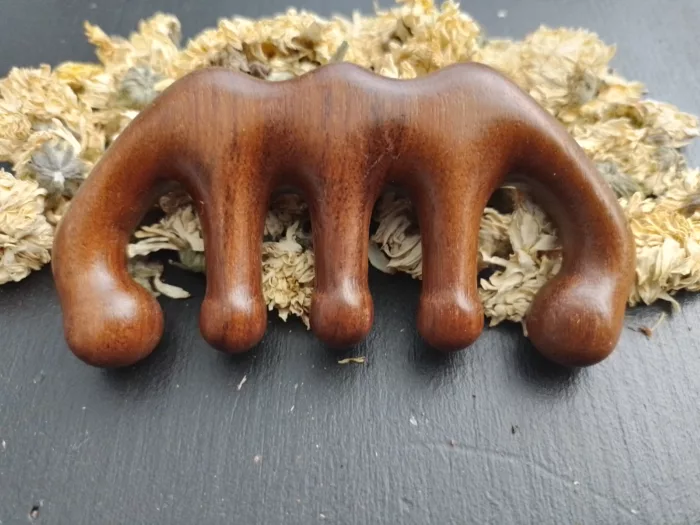peigne en bois