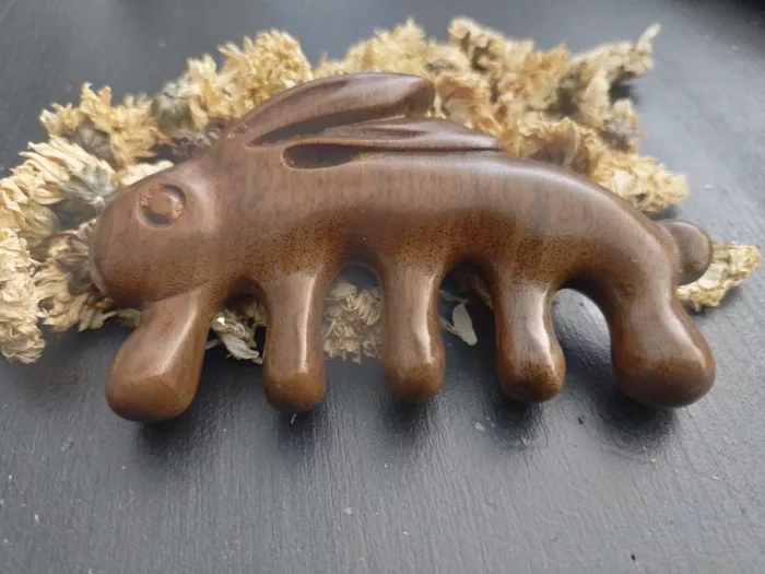 peigne bois lapin