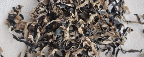 Champignon noir émincé – Mu Er