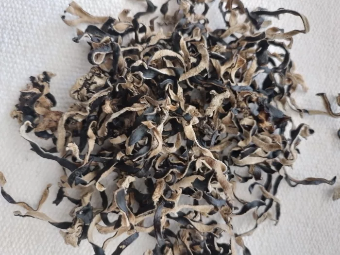 champignon noir émincé
