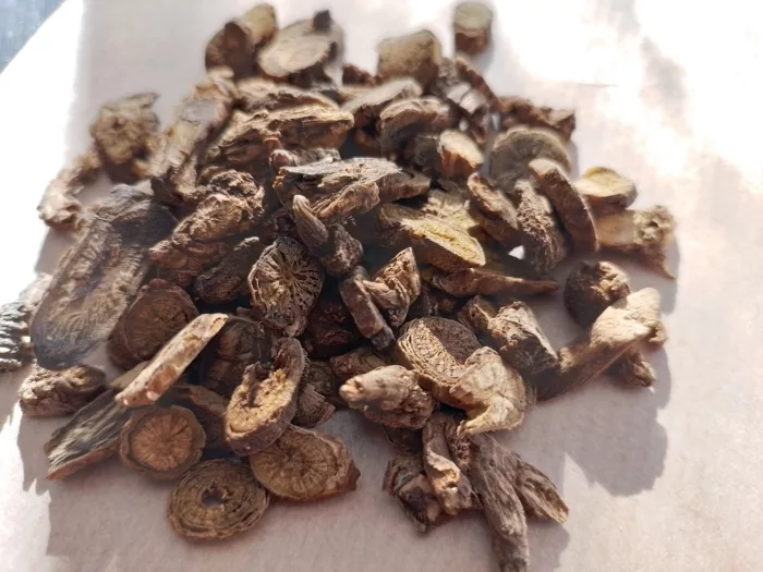 SCUTELLAIRE BAIKAL