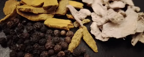 Elixir anti-inflammatoire naturel (curcuma, poivre noir, gingembre)