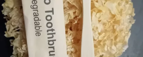 Brosse à dents en bambou naturel