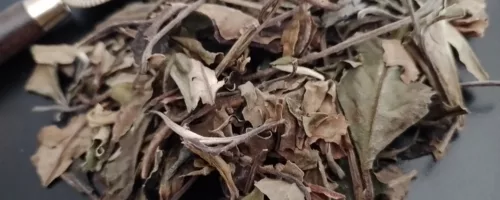Pai Mu Tan-Thé blanc
