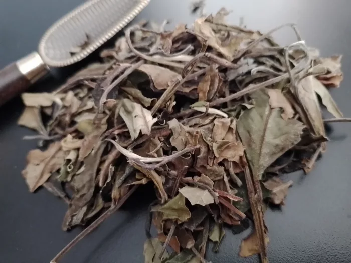 Bai Mu Dan