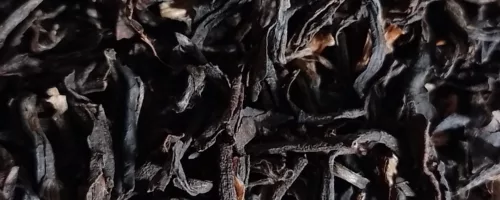 Thé Noir Golden Yunnan (BIO) – Puissant et Subtil