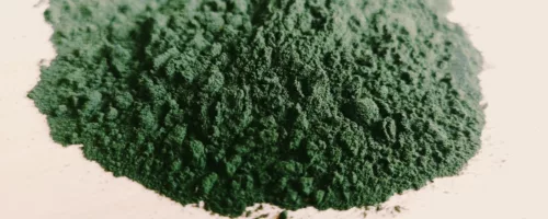 Chlorelle BIO (poudre)