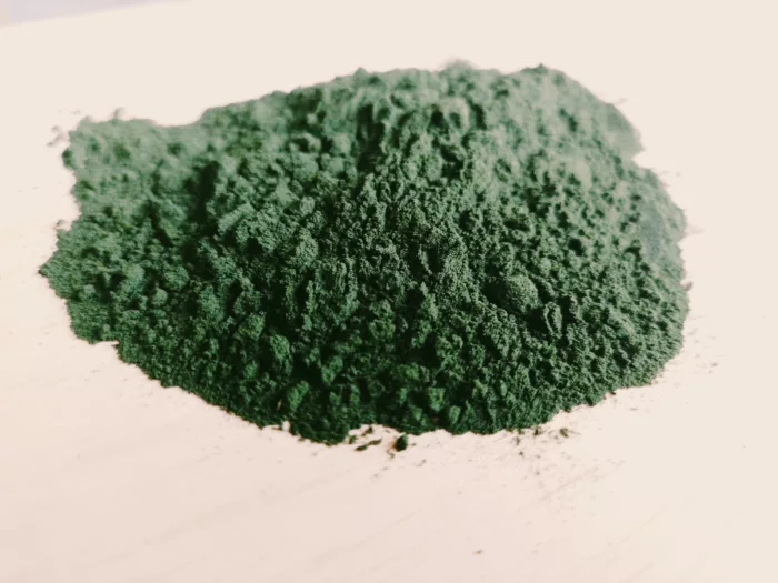 Algue chlorelle