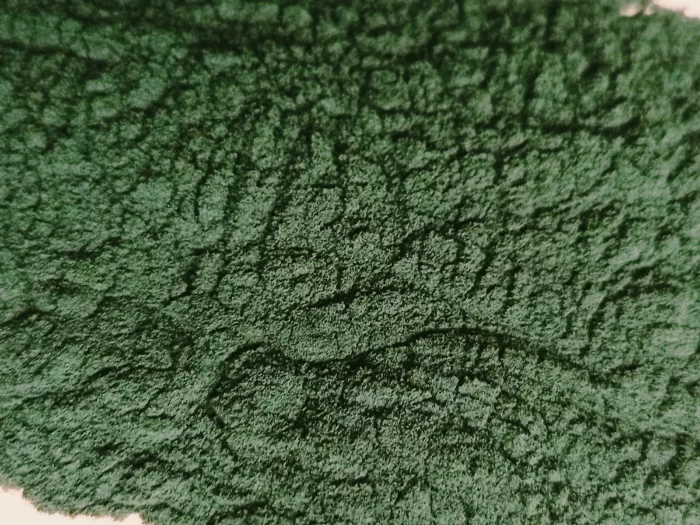 Spiruline Bio (poudre) – Image 2