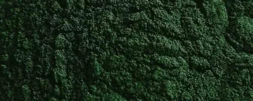 Spiruline Bio (poudre)