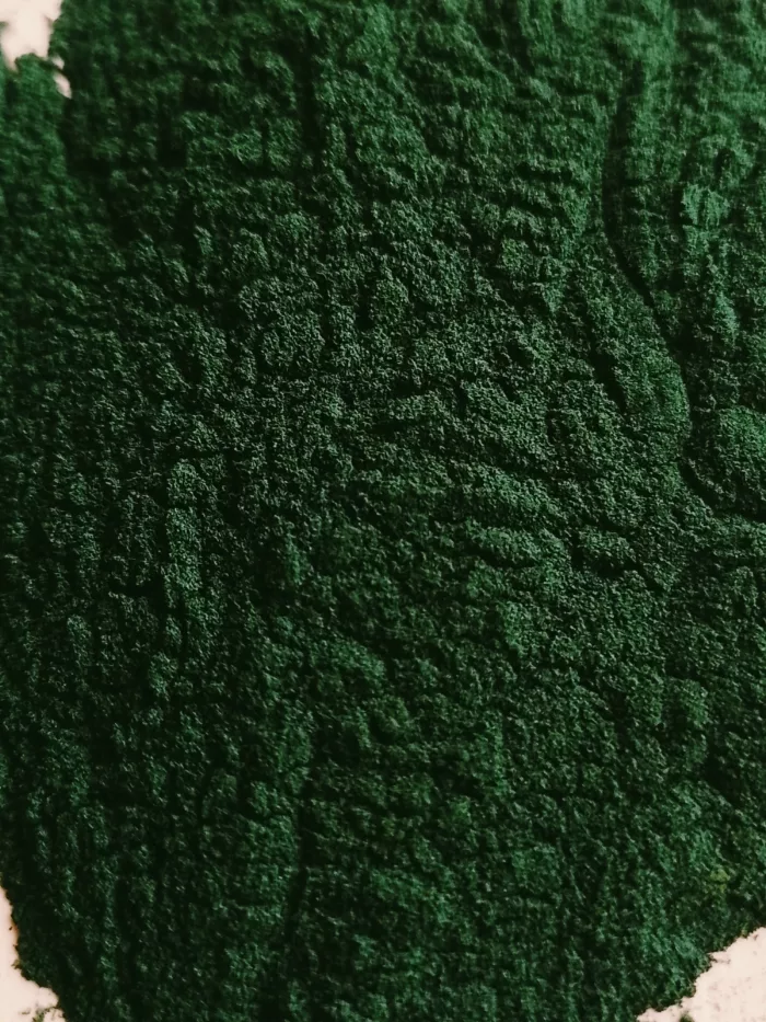 algue spiruline BIO