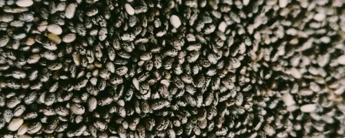 Graines de Chia BIO