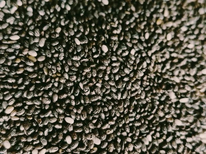 CHIA BIO