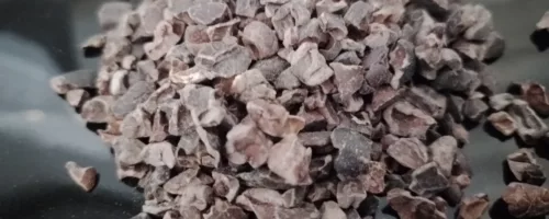 Grué de cacao bio (poudre)