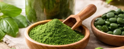 Chlorelle BIO (poudre)