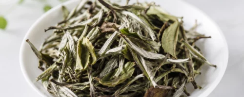 Thé Blanc Pai Mu Tan (Bai Mu Dan) – Thé Blanc Premium du Fujian