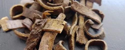 Huang Bai -Bois jaune-Ecorce de phellodendron