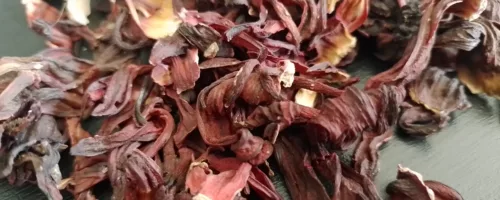 hibiscus -Mu Fu Rong