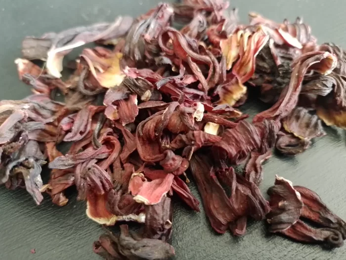 Hibiscus Mu Fu Fong