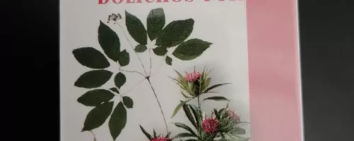 Shen Ling Bai Zhu Wan – Soutien Digestif et Vitalité