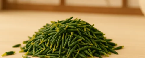 Germe de graine de Lotus – Lian Zi Xin en MTC : Sommeil et Concentration