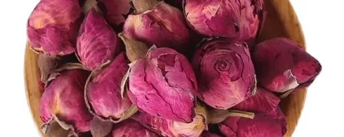 Yue Ji Hua (Fleur de Rose de Chine) – Plante de MTC pour le cycle féminin et les douleurs menstruelles