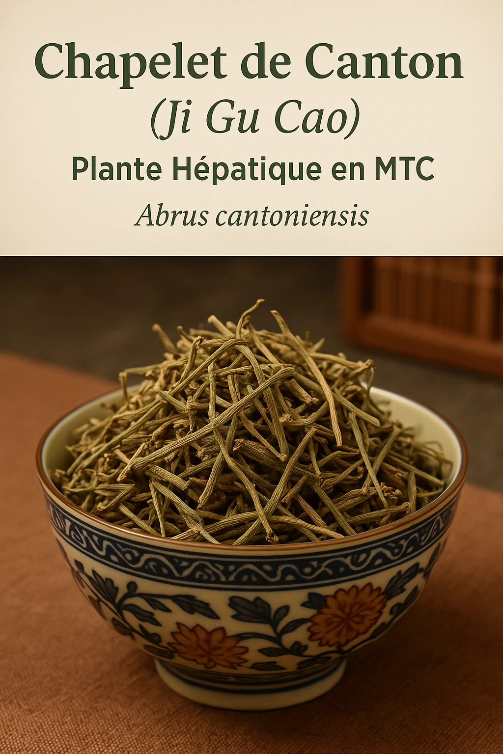 Chapelet de Canton (Ji Gu Cao) dans un bol décoratif asiatique – Abrus cantoniensis, plante hépatique en Médecine Traditionnelle Chinoise.