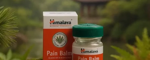 Himalaya Pain Balm – Baume anti-douleur dans un décor asiatique