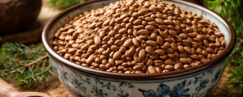 Graines de thuya de Chine dans un bol en céramique, décor asiatique naturel