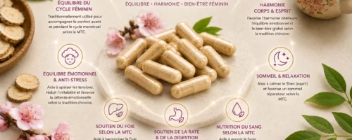 Jia Wei Xiao Yao Wan formule MTC équilibre émotionnel et harmonie féminine